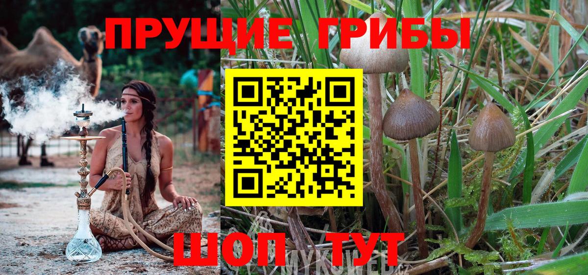 Галлюциногенные грибы Magic Shrooms  Вход с VPN  Псилоцибиновые грибы прущие грибы  Конаково 