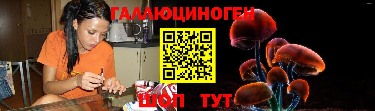 Галлюциногенные грибы Psilocybe Конаково